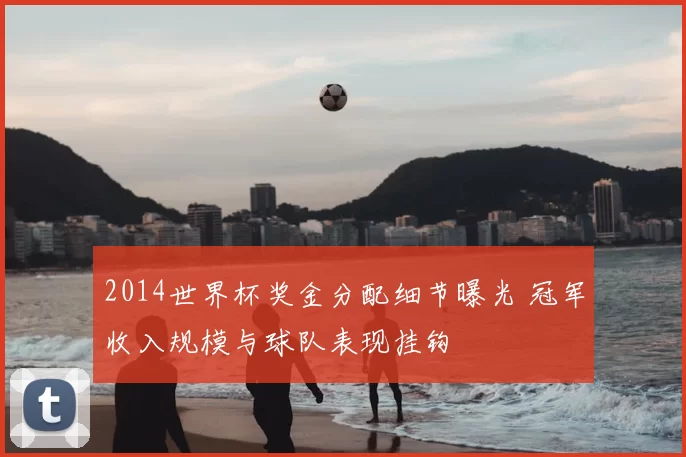 2014世界杯奖金分配细节曝光 冠军收入规模与球队表现挂钩