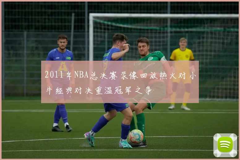 2011年NBA总决赛录像回放热火对小牛经典对决重温冠军之争