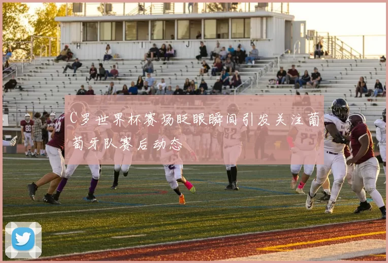 C罗世界杯赛场眨眼瞬间引发关注葡萄牙队赛后动态