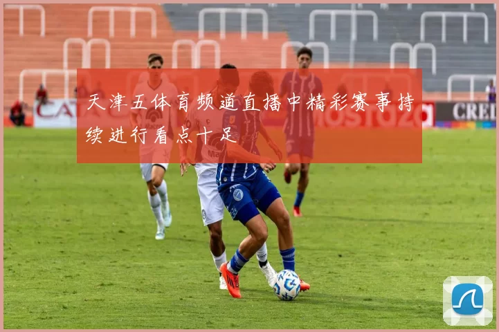 天津五体育频道直播中精彩赛事持续进行看点十足