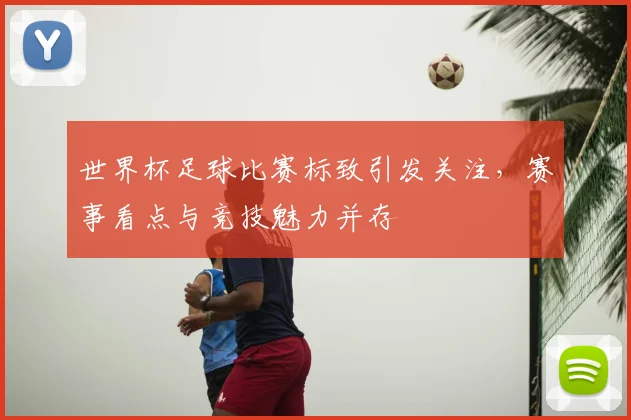 世界杯足球比赛标致引发关注,赛事看点与竞技魅力并存