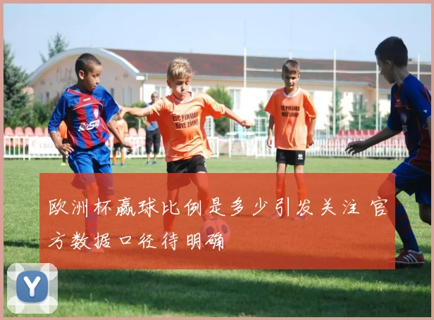 欧洲杯赢球比例是多少引发关注 官方数据口径待明确